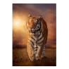 PUZZLE 1500 TIGER
