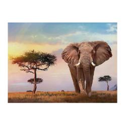 Puzzle 500el. Afryka CLEMENTONI