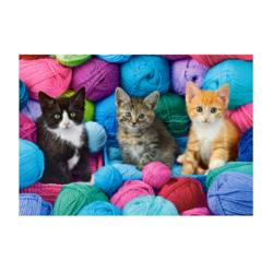 PUZZLE 1000 EL KITTENS 104796 CASTORLAND