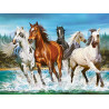PUZZLE 2000 EL CALL OF NATURA 200702 CASTORLAND