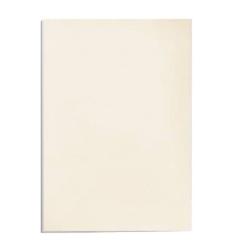 Karton skóropodobny delta fellowes do bindowania