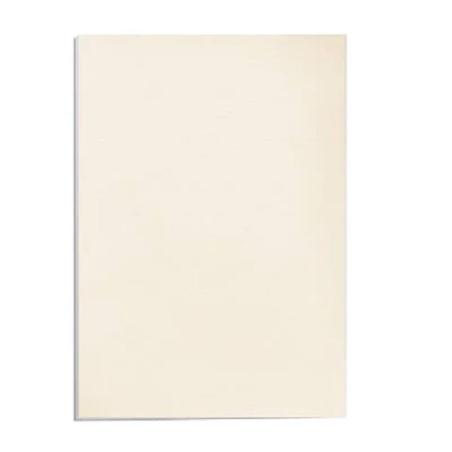 Karton skóropodobny delta fellowes do bindowania