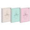 Kołozeszyt A4 100k kratka Academy Pastel (AC) INTERDRUK