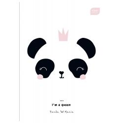 Випуск А5/16 3 лінії кольорові Trendas Дівчата ІНТЕРДРУК