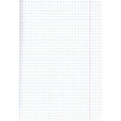 Zeszyt A5 60k kratka J.angielski HERLITZ