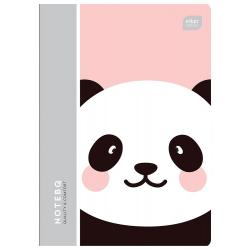 ВИПУСК А5/96 ПП ІНТЕРДРУК (ПП)