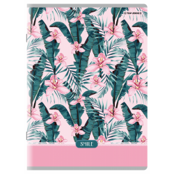 Zeszyt A5 60k PP linia (PP) TOP2000