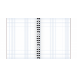 Kołozeszyt A4 80k kratka (PP) TOP 2000