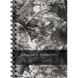 Kołozeszyt A4 80k kratka (PP) TOP 2000