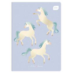 Zeszyt A5 16k linia podwójna kolor INTERDRUK