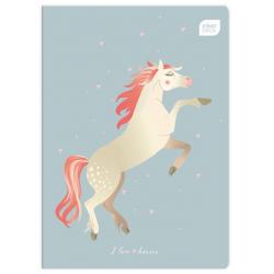 Zeszyt A5 16k linia podwójna kolor INTERDRUK