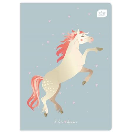 НОУТБУК: A5 16КОЛІР ПОДВІЙНОЇ ЛІНІЇ