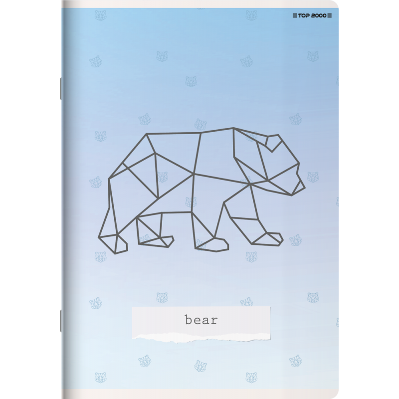 Zeszyt Linea A5 16k LP2K mix linia podwójna TOP 2000