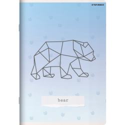 Zeszyt A5 16k kratka mix 70g Linea TOP 2000