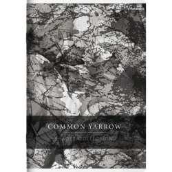 TOP ZESZYT A5 60K KRATKA SHADES21