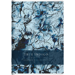 TOP ZESZYT A5 60K KRATKA SHADES21