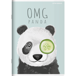 БЛОКНОТ ВЕРХНЬОГО СЛОВА MEGAMIX A6 16K РЕШІТКА РАДІАТОРА