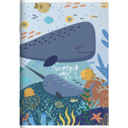 Zeszyt Megamix A5 16k LP2K Linia podwójna kolorowa TOP 2000