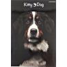 TOP ZESZYT A5 60K KRATKA KITTY&DOG