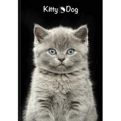 TOP ZESZYT A5 60K KRATKA KITTY&DOG