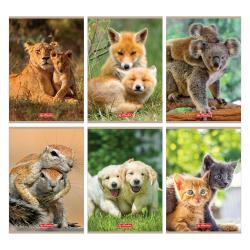 Zeszyt A5 32k 3-linie Animals HERLITZ