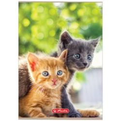 Zeszyt A5 32k 3-linie Animals HERLITZ