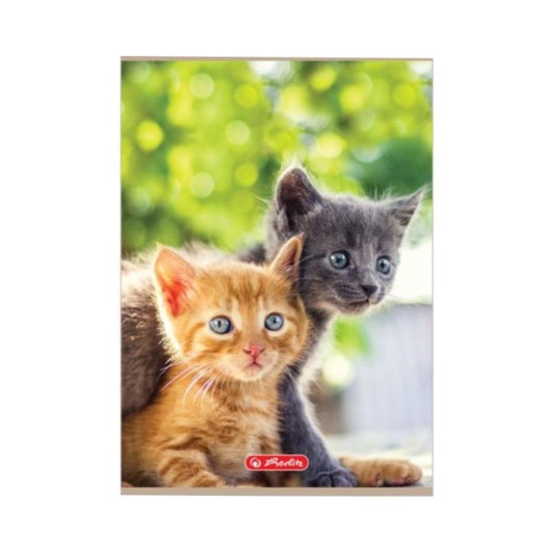 Zeszyt A5 32k 3-linie Animals HERLITZ