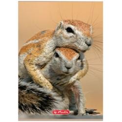 Zeszyt A5 32k 3-linie Animals HERLITZ