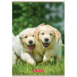Zeszyt A5 32k 3-linie Animals HERLITZ