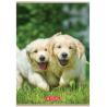 Zeszyt A5 32k 3-linie Animals HERLITZ