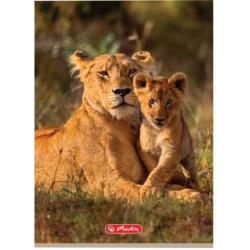 Zeszyt A5 32k 3-linie Animals HERLITZ