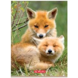 Zeszyt A5 32k 3-linie Animals HERLITZ