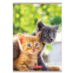 Випуск 32 Тварини A4kr