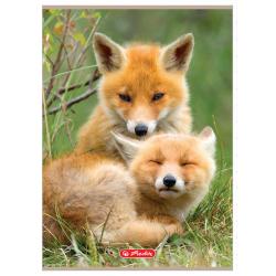 Zeszyt A4 32k kratka Animals HERLITZ