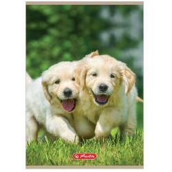 Zeszyt A4 32k kratka Animals HERLITZ