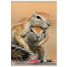 Zeszyt A4 32k kratka Animals HERLITZ