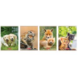 Zeszyt A4 32k kratka Animals HERLITZ