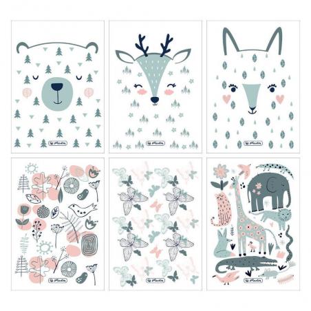 Zeszyt A5 16k 3-linie kolorowe Scandy HARLITZ