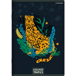 НАЙКРАЩА ЛІНІЯ КОЛАЖУ A5 60K