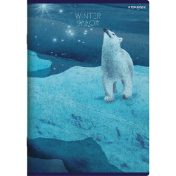Zeszyt A5 32k Winter Sailor kratka TOP 2000