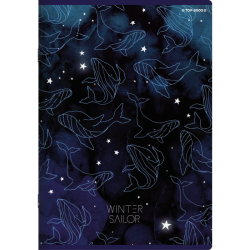 Zeszyt A5 32k Winter Sailor kratka TOP 2000