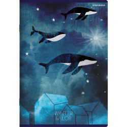 Zeszyt A5 32k Winter Sailor kratka TOP 2000