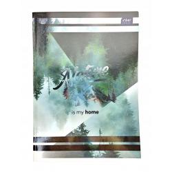 Zeszyt A5 60k linia Metalic (MeG) INTERDUK