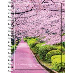 Kołozeszyt A4 100k kratka Globetrotter TOP 2000