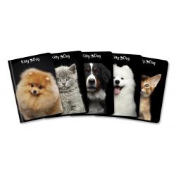 Zeszyt A5 96k kratka Kitty&Dog TOP 2000