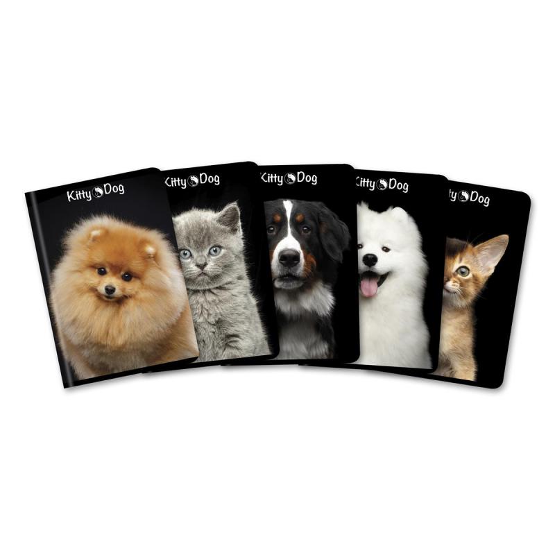 Zeszyt A5 96k kratka Kitty&Dog TOP 2000