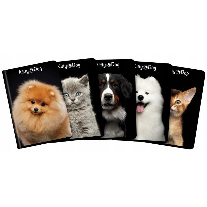 Zeszyt A5 80k kratka Kitty&Dog TOP 2000