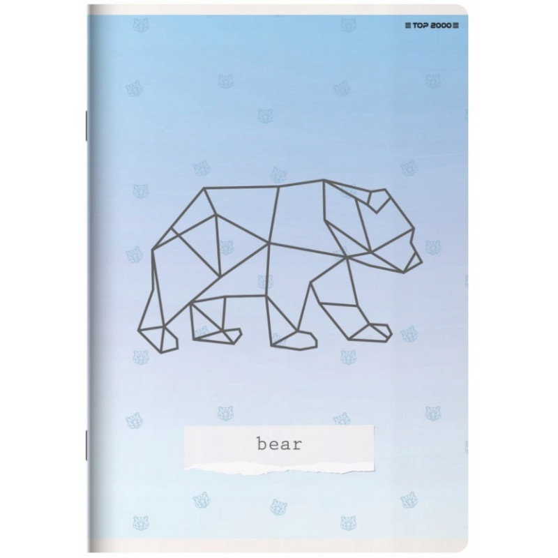 Zeszyt Linea A5 32k krata TOP 2000