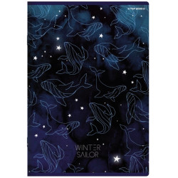 Zeszyt A5 60k Winter Sailor krata 2022 TOP 2000