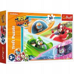 Головоломка 30 Bird Academy Race